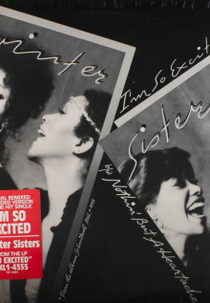 The Pointer Sisters: I'm So Excited (The Pointer Sisters: I'm So Excited)