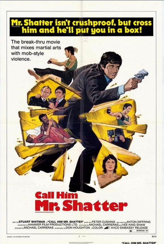 Poster 2 de Filme Me Chamam O Destruidor (1974)