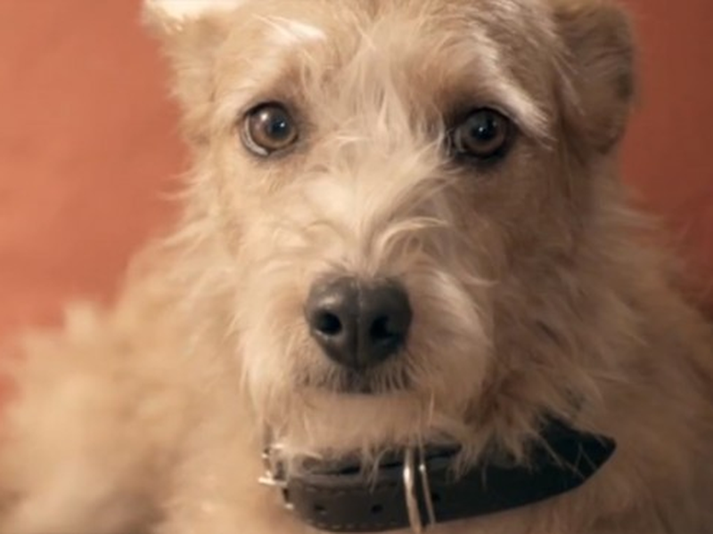 Foto 3 de A História de Sofia