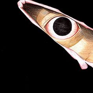 Foto de perfil de Bruno Quintana Marcuzzo