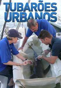 Tubarões Urbanos (Tubarões Urbanos)