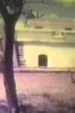 Fabulário Tropical (Fabulário Tropical)