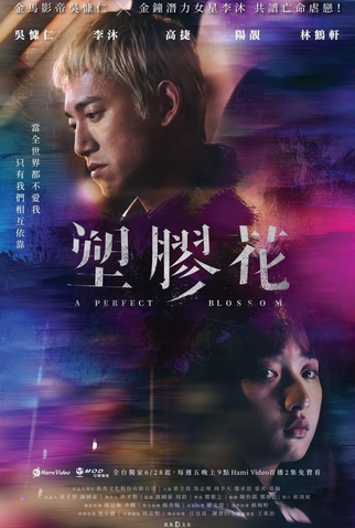Poster 1 de Série A Perfect Blossom (2024)