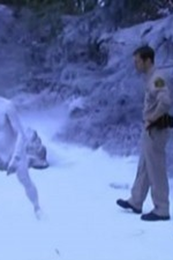 Poster de Episódio Unpredictable (2007)