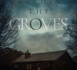 Within the Groves