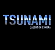 Tsunami Caught on Camera