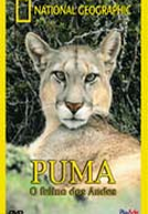 National Geographic: Puma - O Felino dos Andes