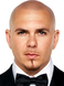 Pitbull