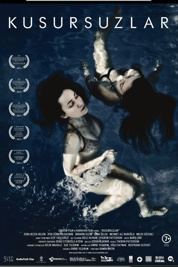 Poster de Filme THE IMPECCABLES (2013)