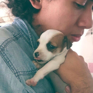 Foto de perfil de Marllon Maia