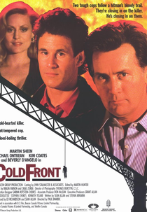 No Alvo da Lei (Cold Front)