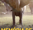 Memória de Elefante