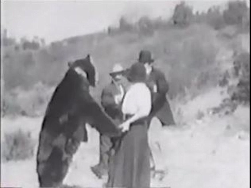 Foto 2 de The Brave Hunter