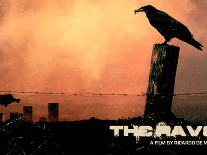 Foto 1 de The Raven