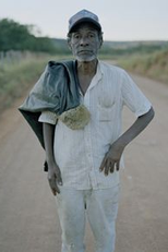 A Morte Diária (A Morte Diária)