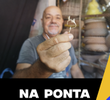 Na ponta do palito