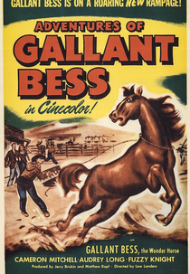 Adventures of Gallant Bess (Adventures of Gallant Bess)