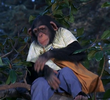 The Kleptomonkeyac