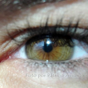 Foto de perfil de Débora P. Possani