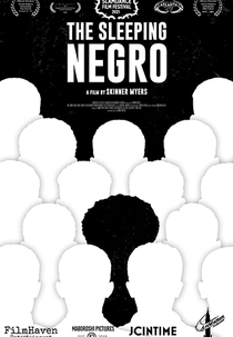 THE SLEEPING NEGRO (THE SLEEPING NEGRO)