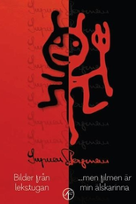 Imagens do playground (Bilder från lekstugan)