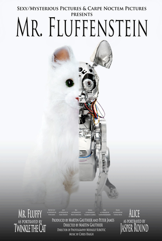 Poster 2 de Filme Frankenstein Unlimited (2009)