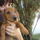 Foto de perfil de Marina