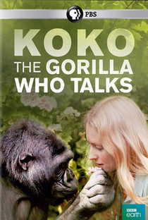 Koko: The Gorilla Who Talks to People - Poster / Capa / Cartaz - Oficial 1