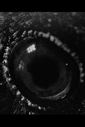 Poster de Filme Ravens (2024)