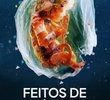 Feitos de Plástico