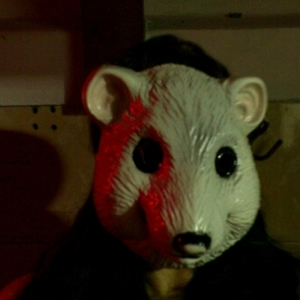 Foto de perfil de Nicole Esteves