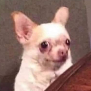 Foto de perfil de Miguel