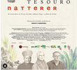 Tesouro Natterer