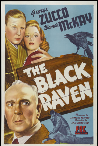 Poster 2 de Filme The Black Raven (1943)