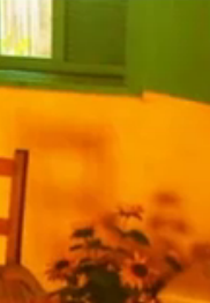 Vincent vida e simplicidade (Vincent - Vida e Simplicidade)