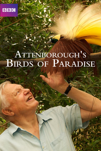 Poster de Filme As Aves do Paraíso com Attenborough (2015)