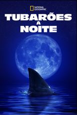 Tubarões à noite (Shark Side of the Moon)