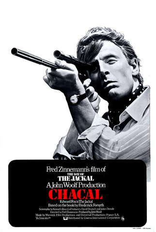 Poster 10 de Filme O Dia do Chacal (1973)