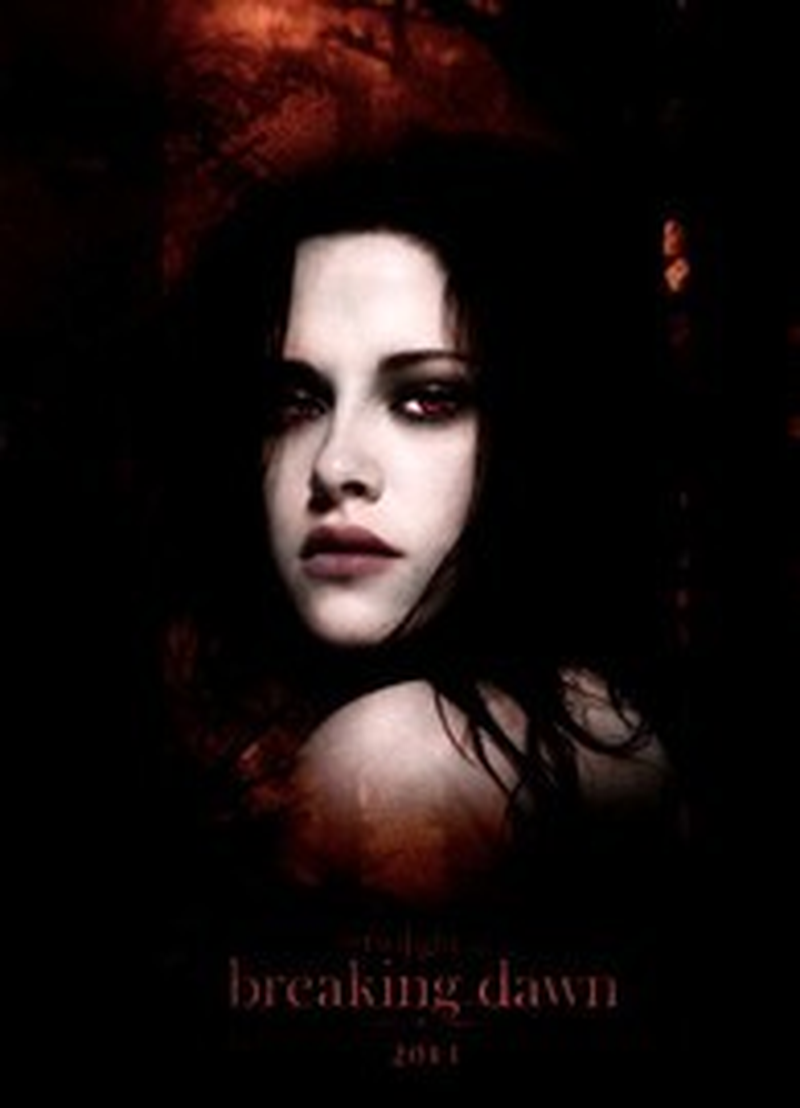 Larice Jales - Foto 1
