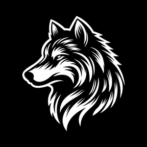 Foto de perfil de Tobias