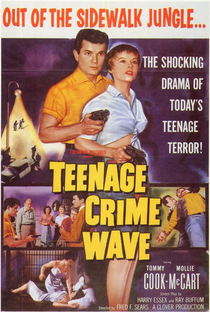 Teen-Age Crime Wave - Poster / Capa / Cartaz - Oficial 1