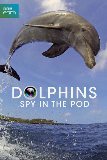 Poster de Série Dolphins - Spy in the pod (2014)