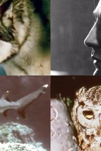  de Filme Say Goodbye (1970)