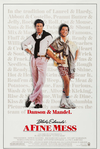 Poster 4 de Filme Uma Tremenda Confusão (1986)