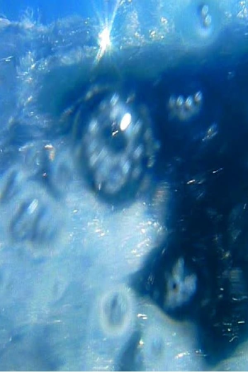 Poster de Curta A fleur d’eau… (2009)