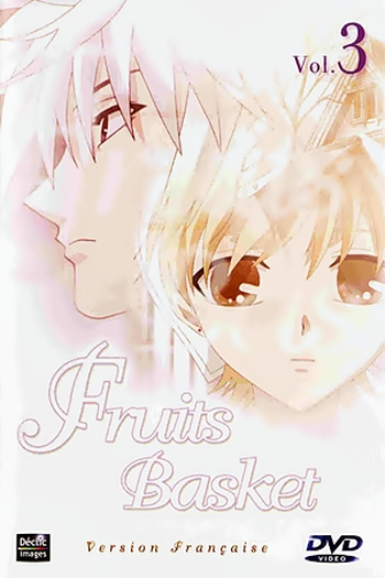  de Série Fruits Basket (2001)