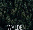 Walden
