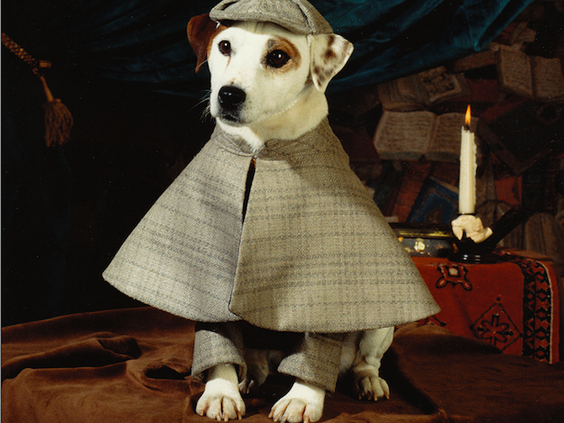 Foto 6 de The Slobbery Hound by Wishbone