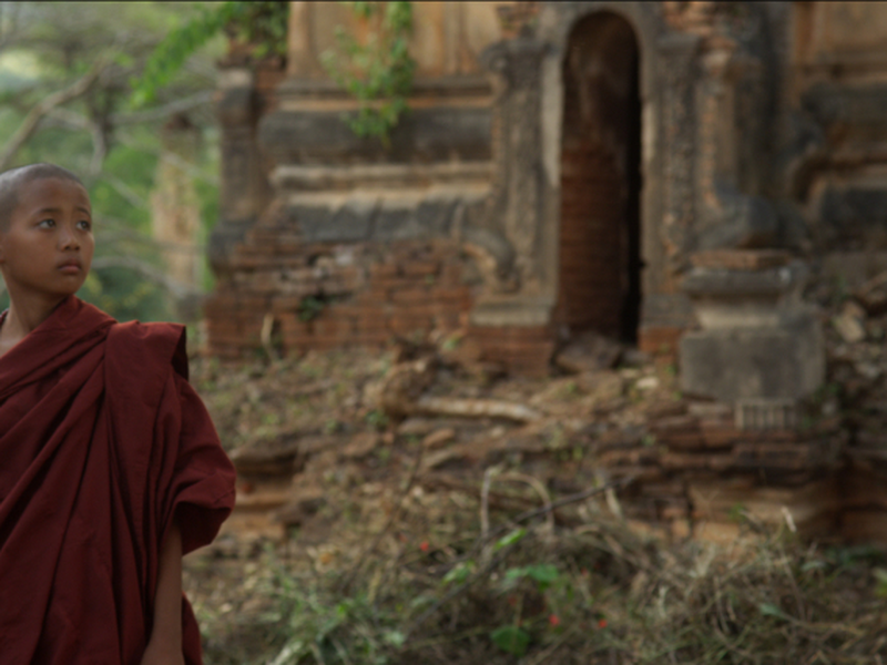 Foto 6 de Golden Kingdom