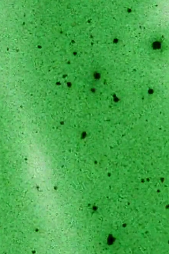 Poster de Curta Intrigues (IV) (1981)